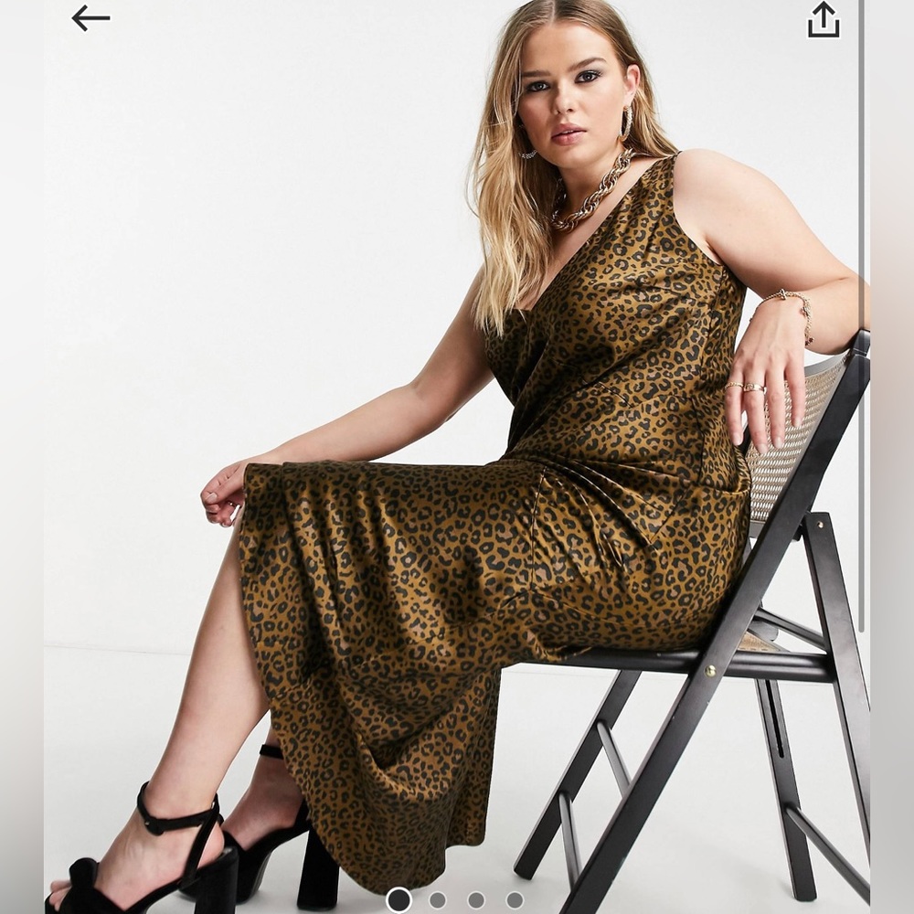 Animal Print Slip Dress
